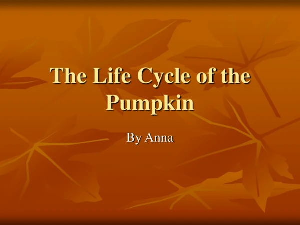 The Life Cycle of the Pumpkin