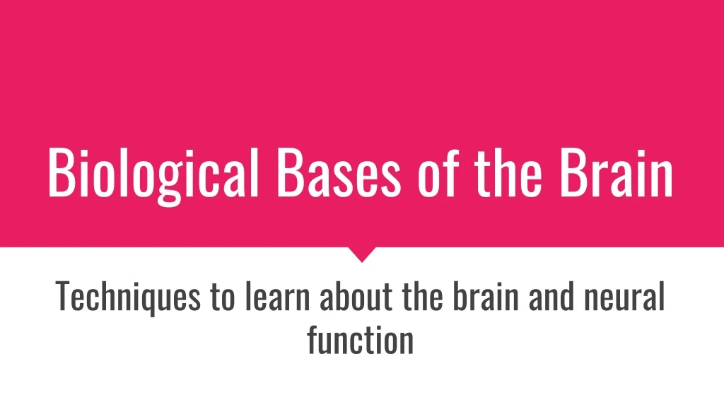 biological bases of the brain