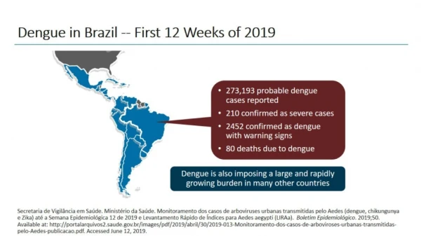 Dengue in Brazil -- First 12 Weeks of 2019