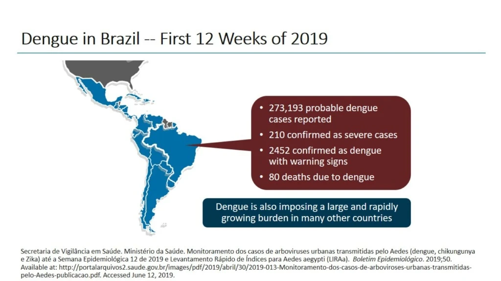 dengue in brazil first 12 weeks of 2019