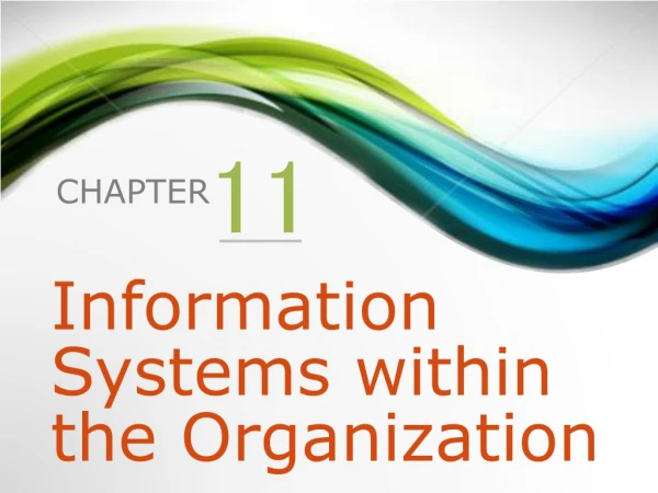 Information Systems within the Organization
