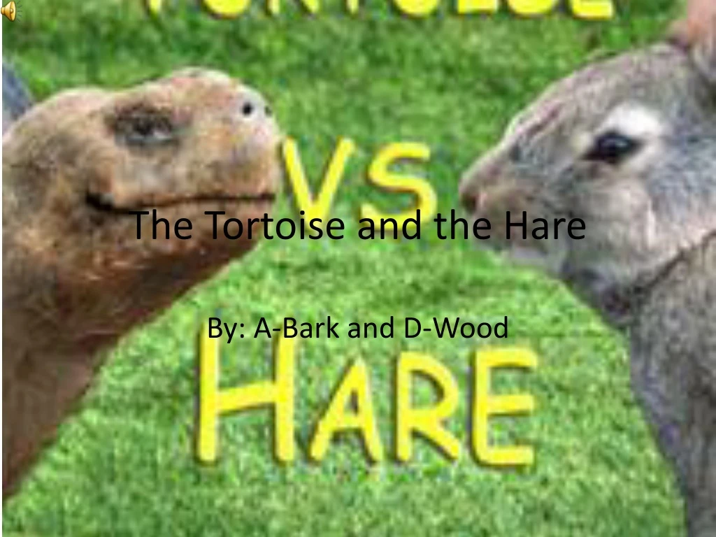 the tortoise and the hare