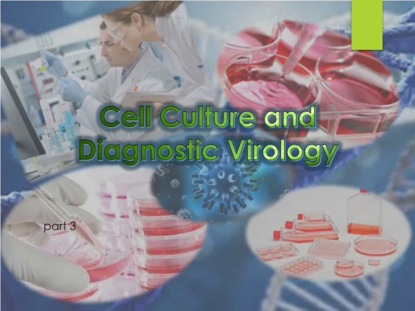 Cell Culture and Diagnostic Virology