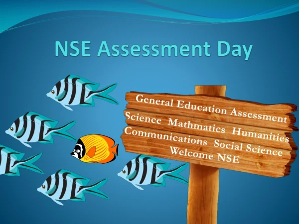 NSE Assessment Day