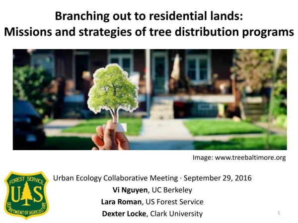 Branching out to residential lands: Missions and strategies of tree distribution programs