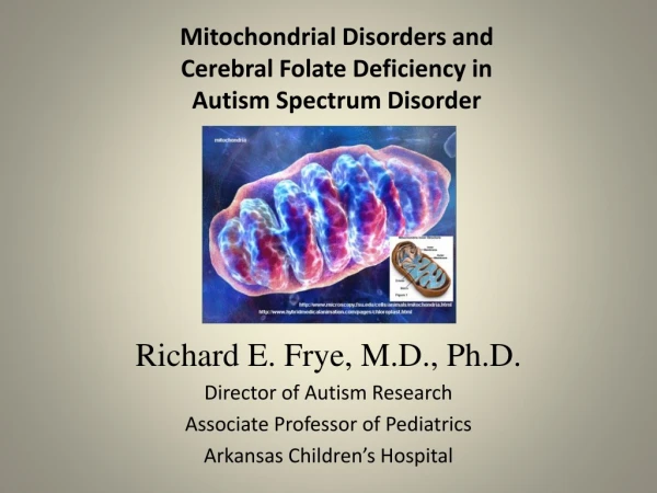 Mitochondrial Disorders and Cerebral Folate Deficiency in Autism Spectrum Disorder