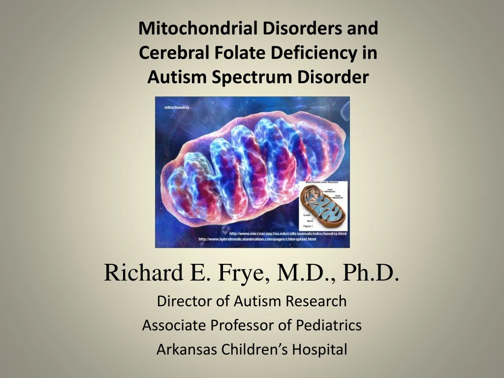 mitochondrial disorders and cerebral folate deficiency in autism spectrum disorder