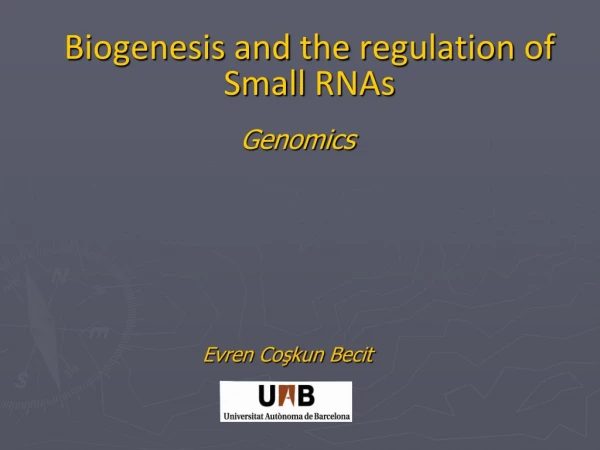 Biogenesis and the r egulation of Small RNAs