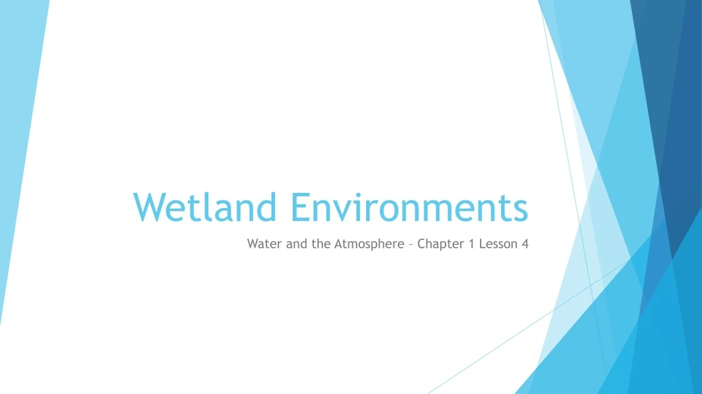 wetland environments