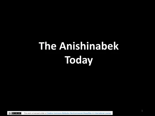 The Anishinabek Today