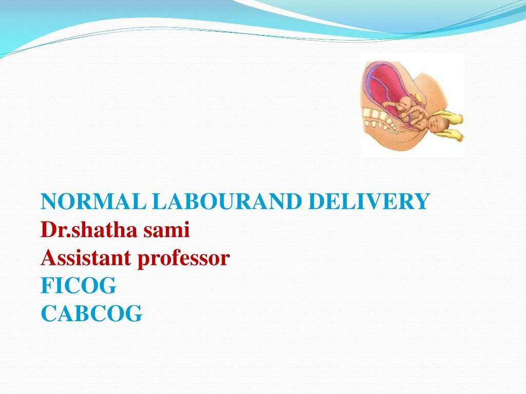 normal labourand delivery dr shatha sami