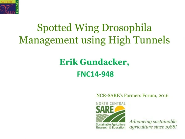 Spotted Wing Drosophila Management using High Tunnels