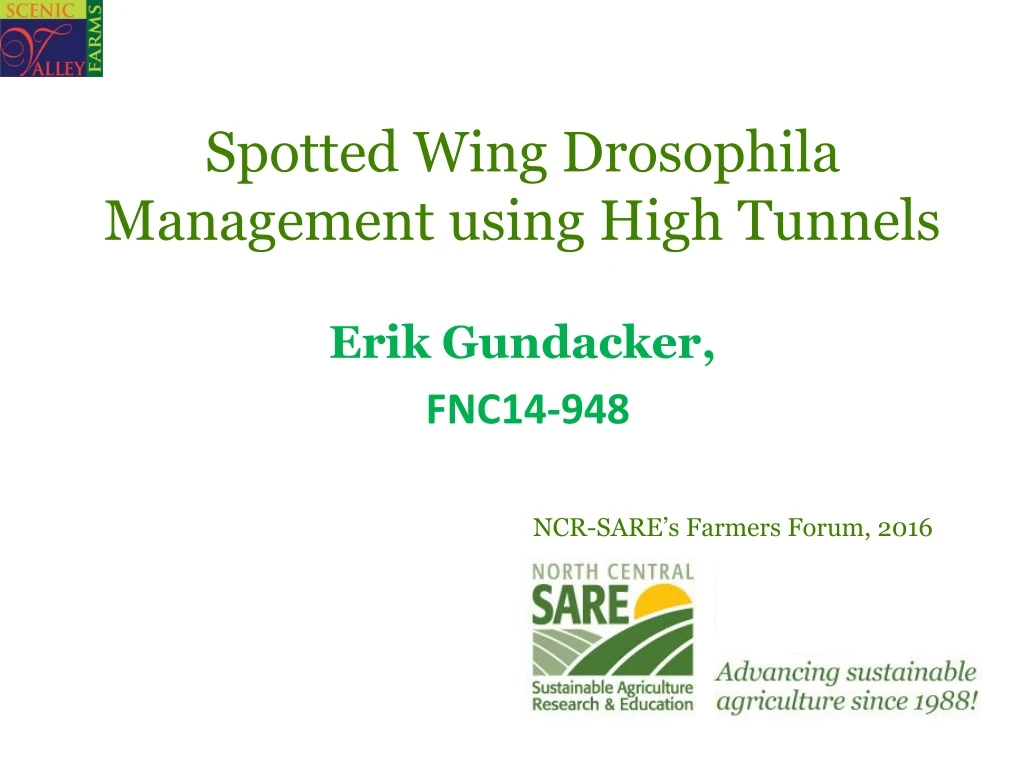 spotted wing drosophila management using high tunnels