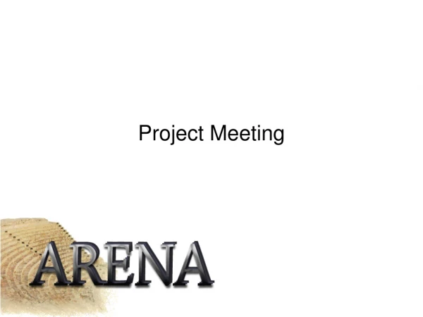 Project Meeting