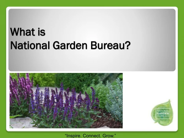 What is National Garden Bureau ?