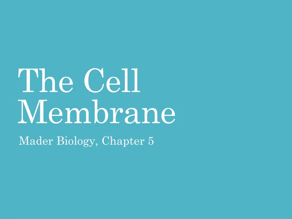 the cell membrane