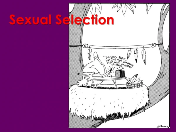 Sexual Selection