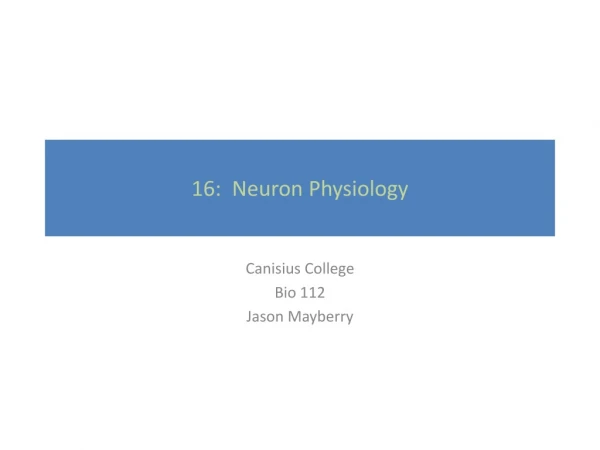 16: Neuron Physiology