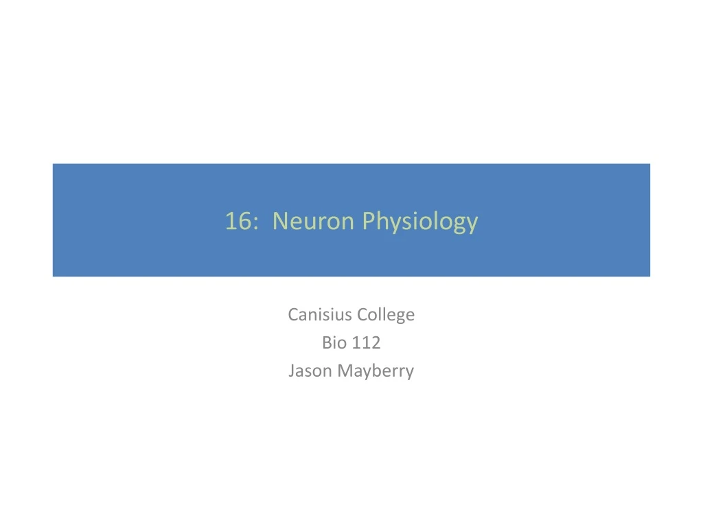 16 neuron physiology