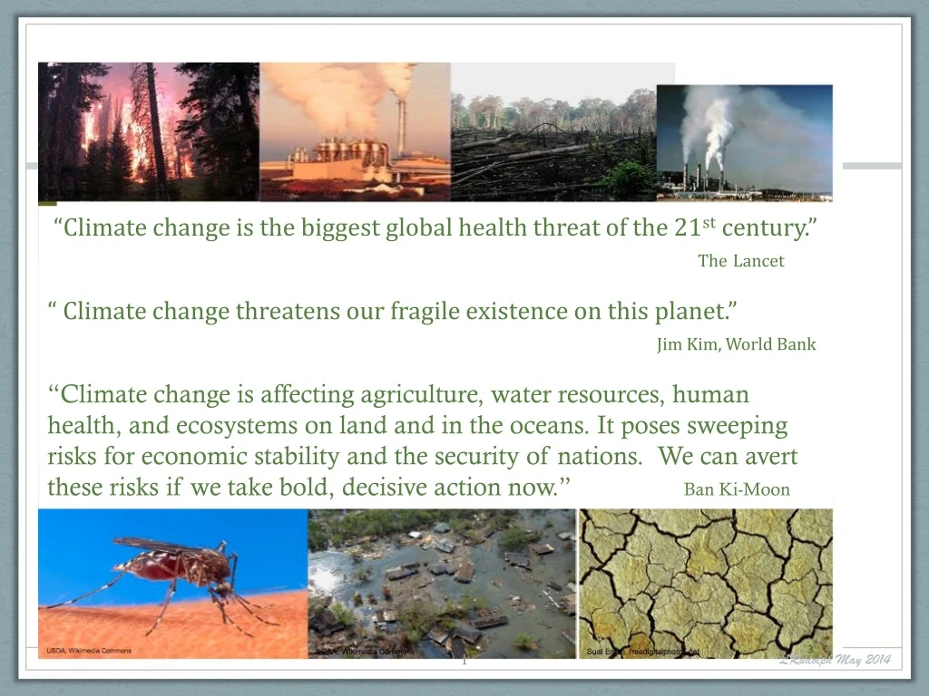 climate change is the biggest global health