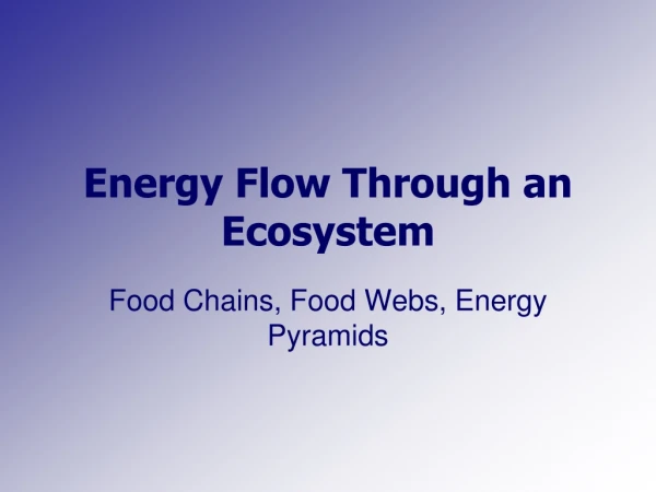 Energy Flow Through an Ecosystem