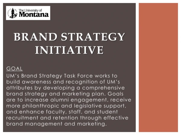 Brand Strategy Initiative