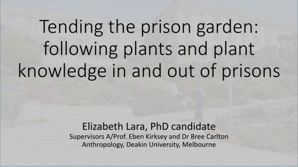 Tending the prison garden: following plants and plant knowledge in and out of prisons