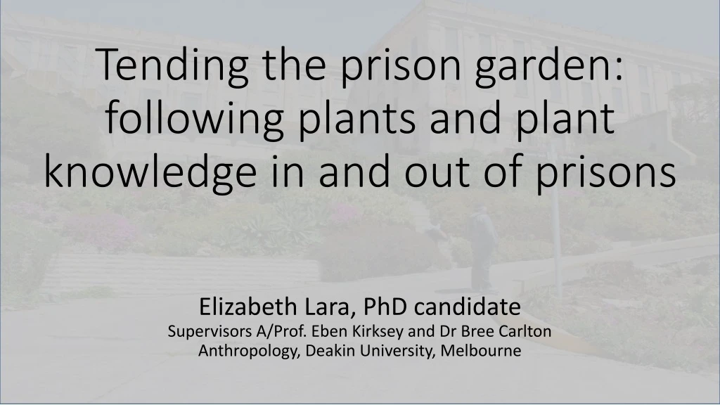 tending the prison garden following plants and plant knowledge in and out of prisons