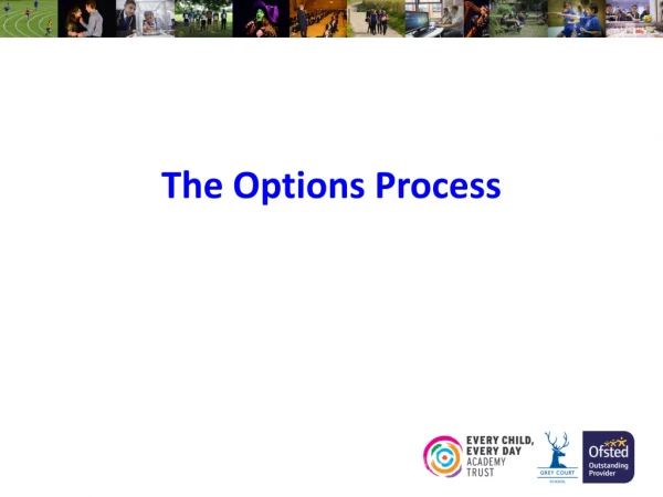The Options Process