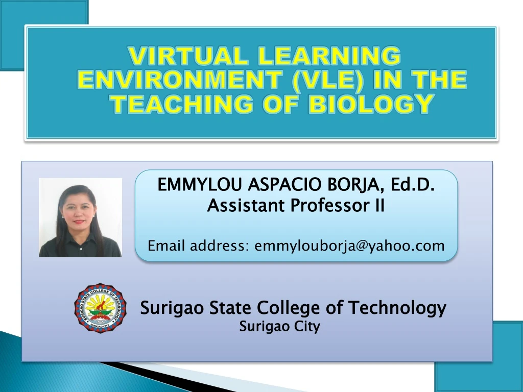 virtual learning environment vle in the teaching
