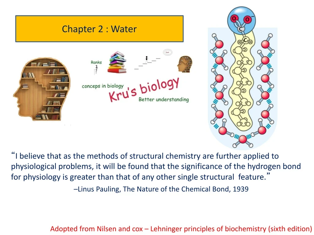 chapter 2 water