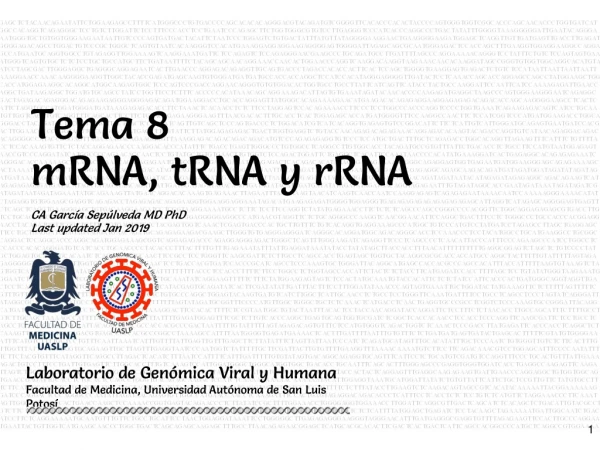 Tema 8 mRNA, tRNA y rRNA