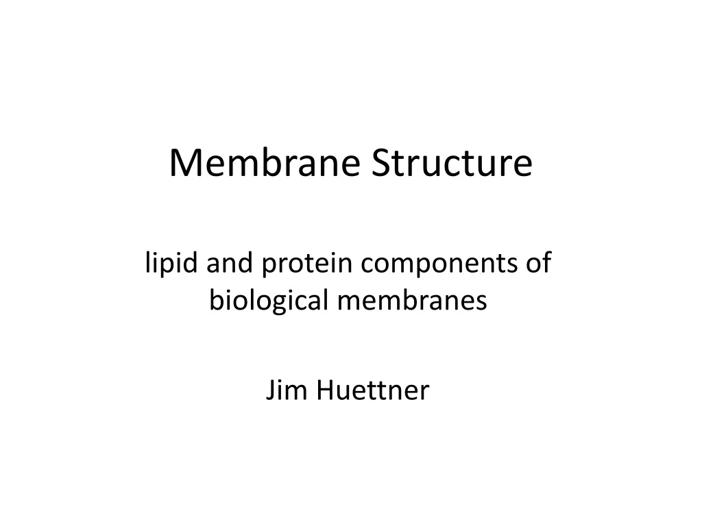 membrane structure