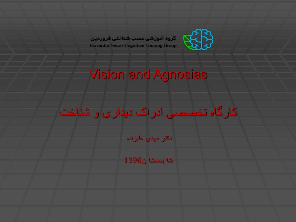 vision and agnosias