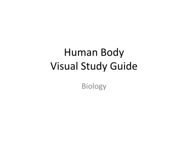 Human Body Visual Study Guide
