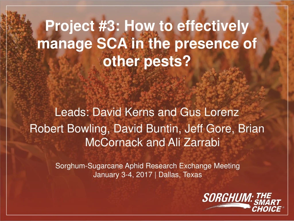 project 3 how to effectively manage sca in the presence of other pests