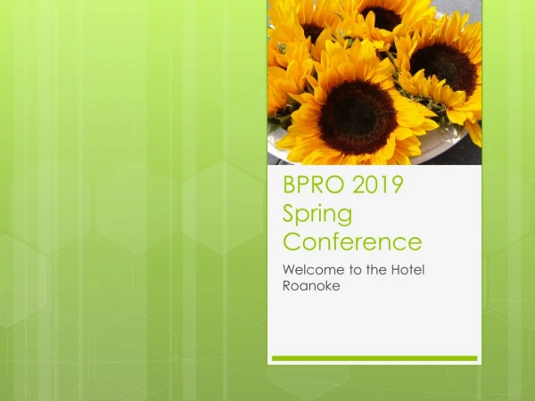 BPRO 2019 Spring Conference