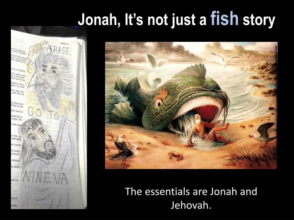 jonah it s not just a fish story