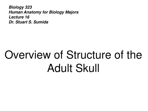 Biology 323 Human Anatomy for Biology Majors Lecture 16 Dr. Stuart S. Sumida