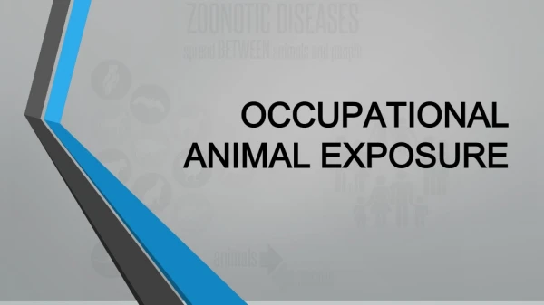OCCUPATIONAL ANIMAL EXPOSURE