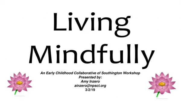 An Early Childhood Collaborative of Southington Workshop Presented by: Amy Inzero