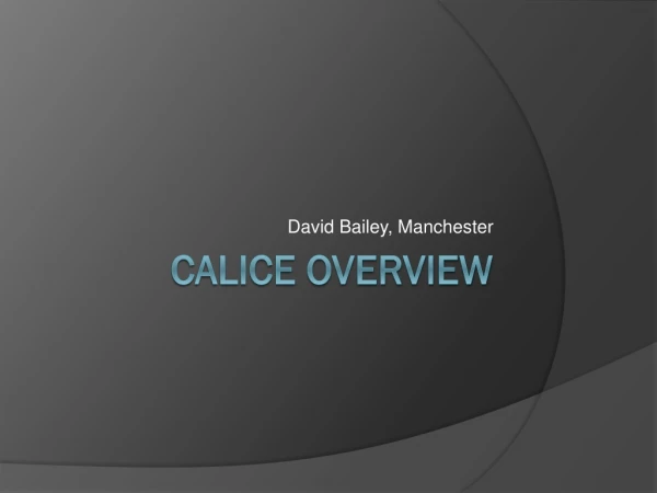 CALICE Overview