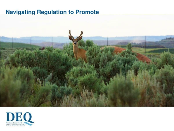 Navigating Regulation to Promote Reclamation