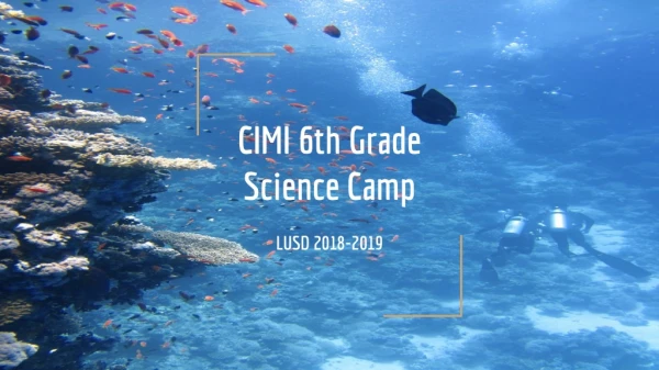 CIMI 6th Grade Science Camp