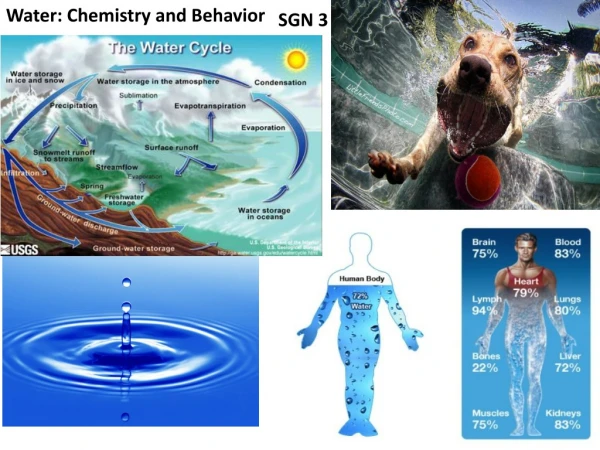 Water: Chemistry and Behavior