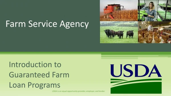 Farm Service Agency