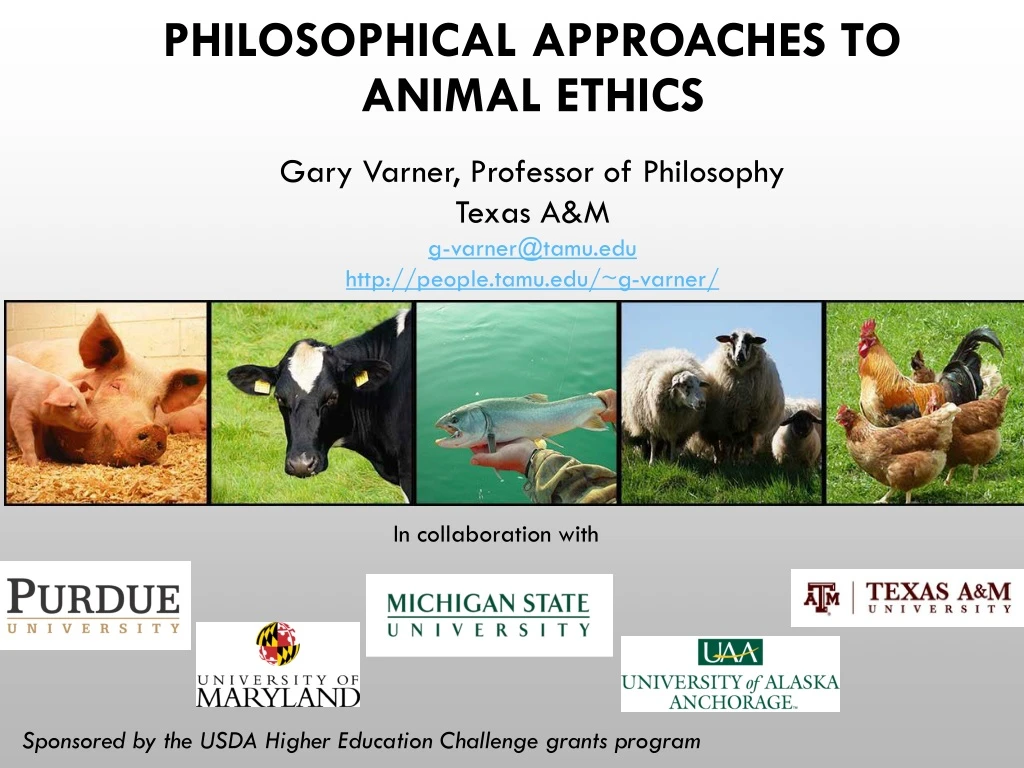 philosophical approaches to animal ethics