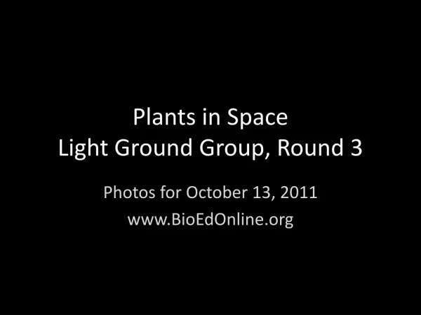 Plants in Space Light Ground Group, Round 3
