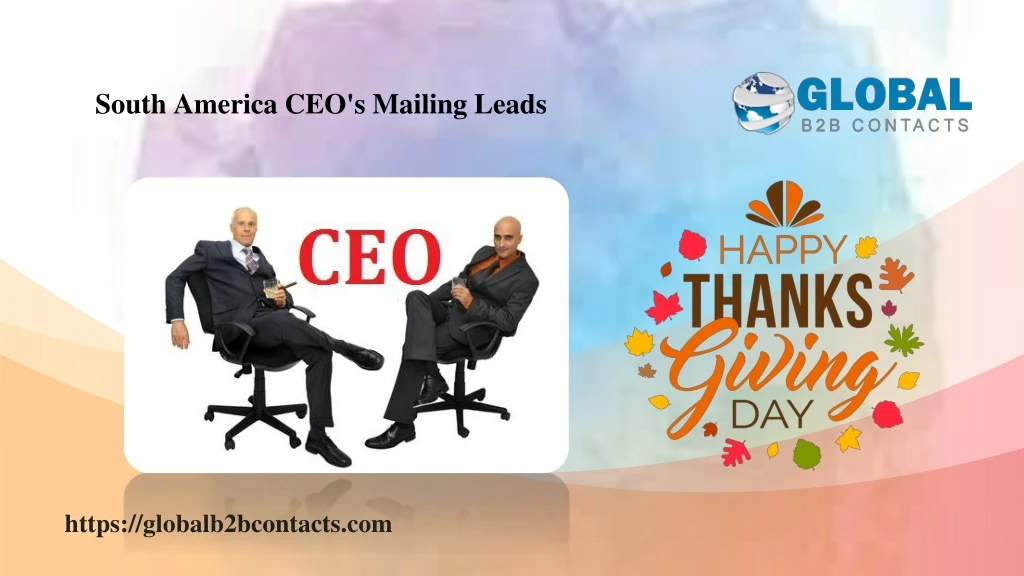 south america ceo s mailing leads