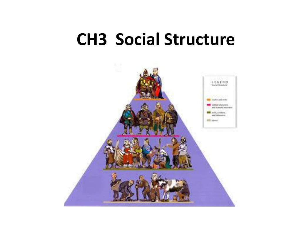 ch3 social structure